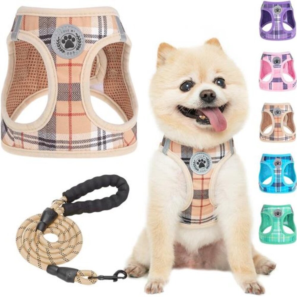 Small Dog Harness and Leash Set,Step in No Chock No Pull Soft Mesh Dog Harnesses
